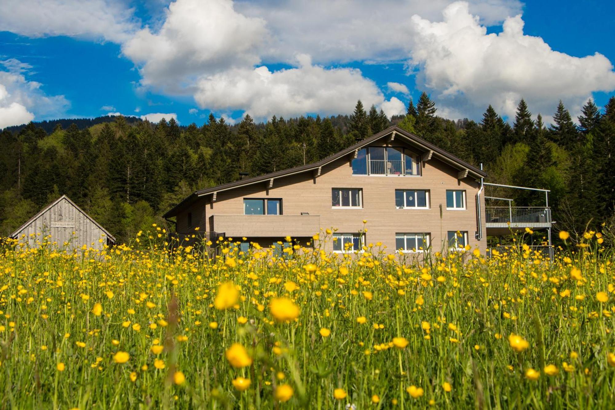 Haus Feurstein Apartment Hittisau Exterior photo